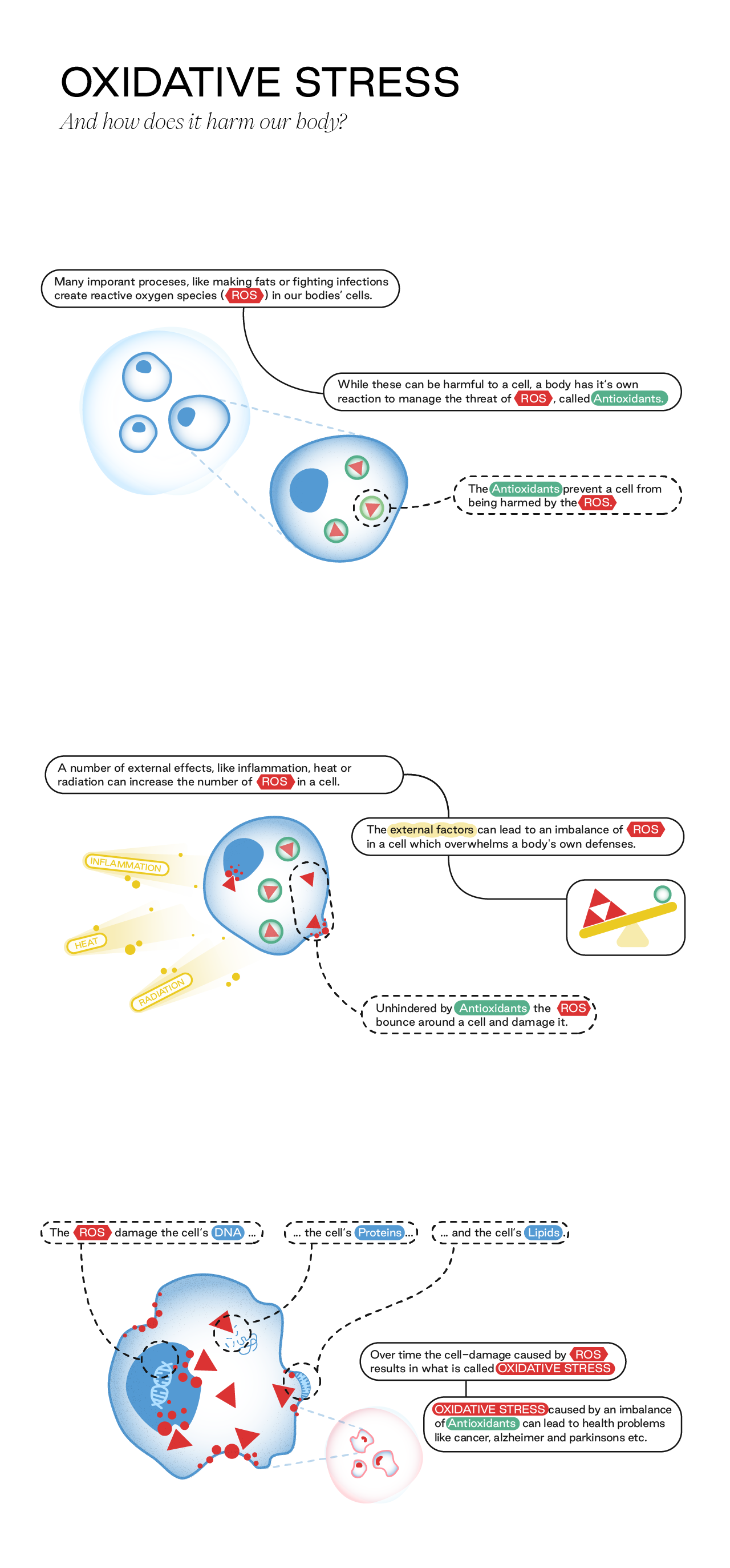 Oxidative Stress SM NoLogo